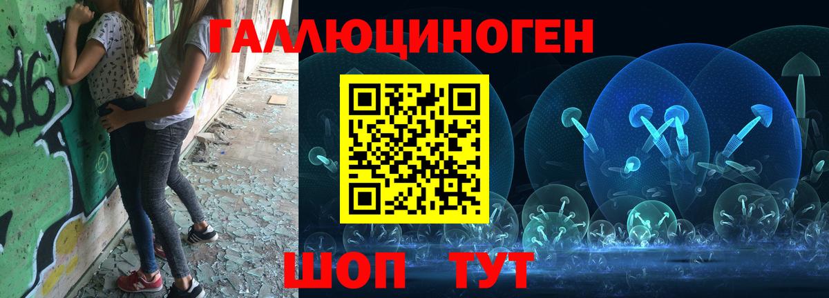 Галлюциногенные грибы Magic Shrooms  Вход с VPN  где купить наркоту  Курчалой 