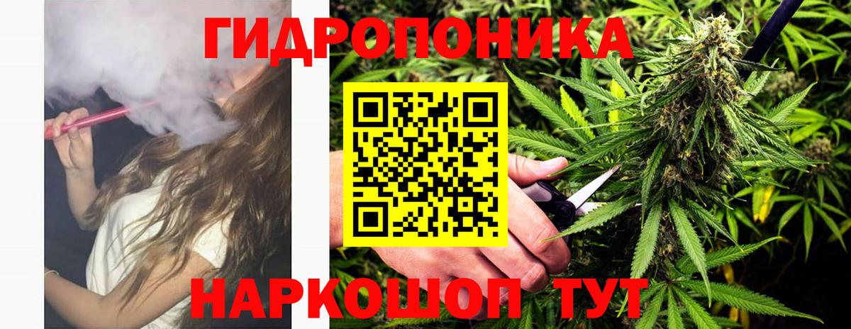 Бошки марихуана Bruce Banner  Вход с VPN  Конопля ГИДРОПОН  Бошки Шишки гибрид  Курчалой 